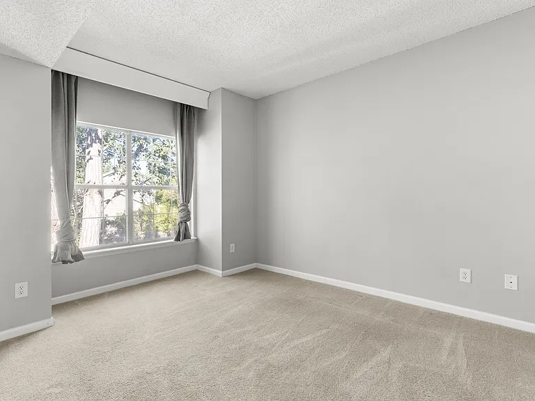 Spacious primary bedroom with peaceful views of the greenbelt and mature trees.