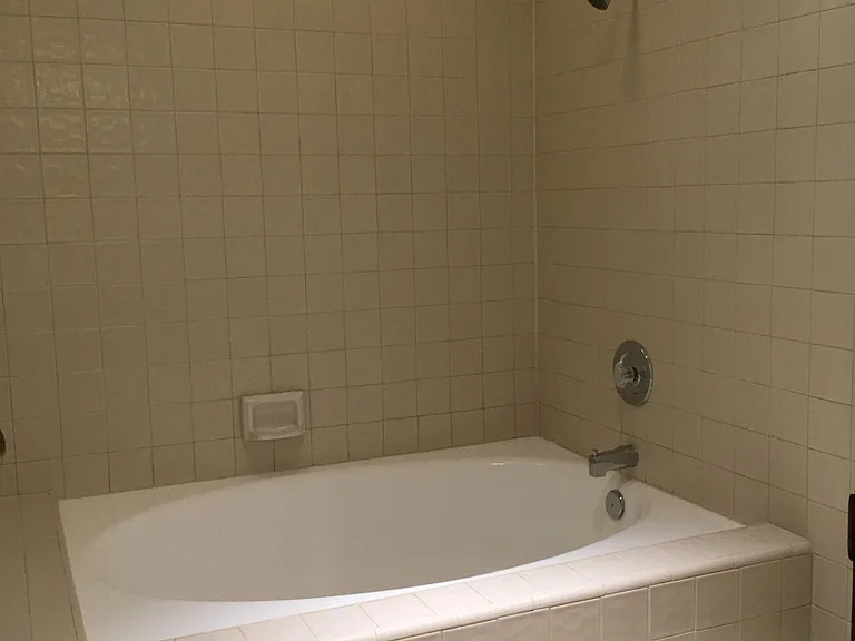 Master Bath 1