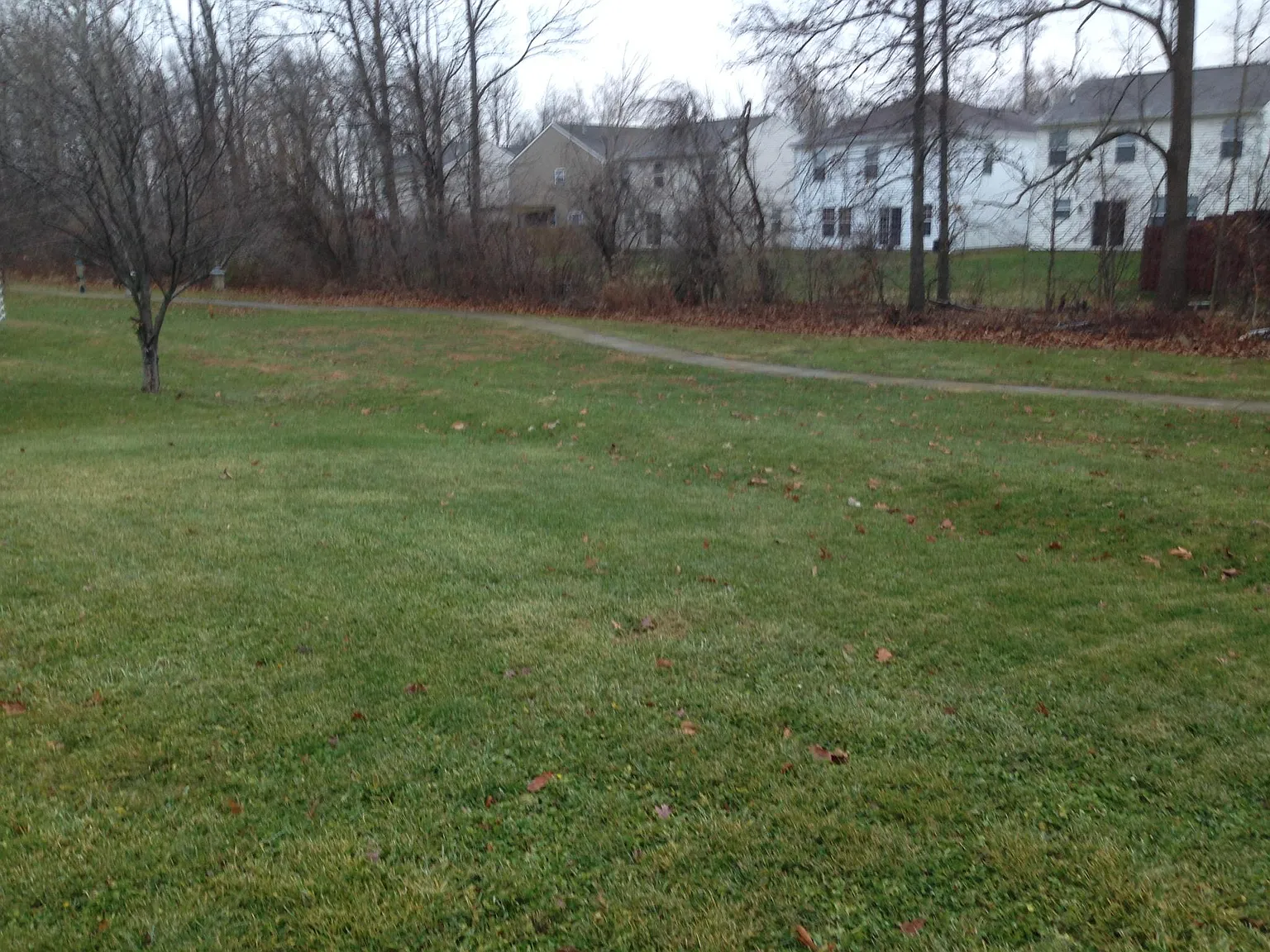 3 bed, 1038 sqft, $1,650 — Photo 4