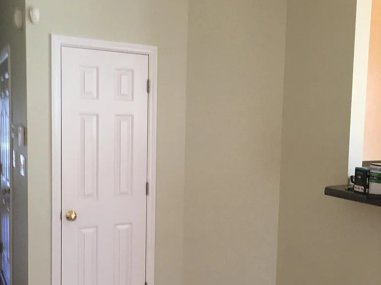 Storage closet in living room.