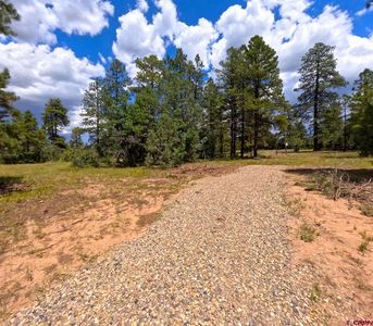 108 Allison Place, Pagosa Springs, CO, 81147