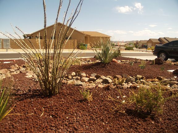 Low Maintenance Front Yard
