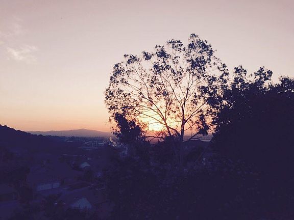 sunset view from backyard