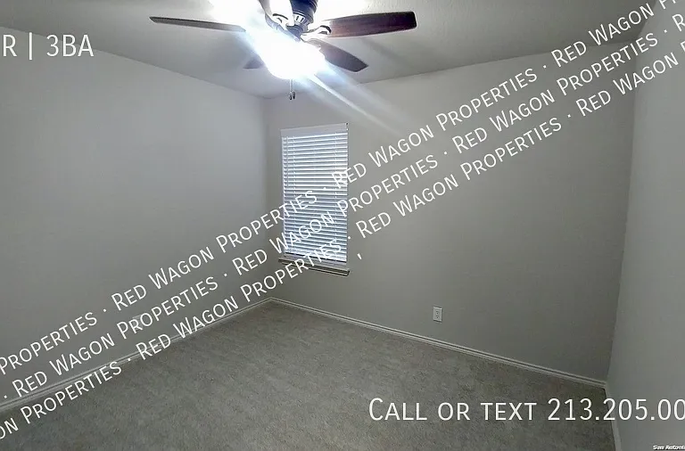 146 Cindy Lou Dr — Photo 15