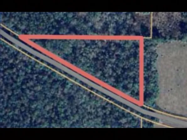 0 County Road 46, Goshen, AL 36035