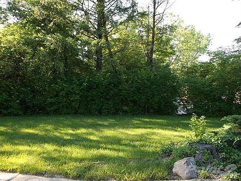 Nice flat backyard with a wooded view.