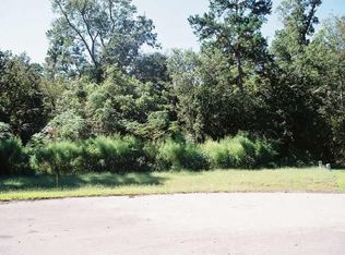 27206 Cass Ct, Spring, TX 77386