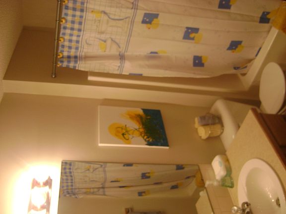 Main Floor Bathroom (2)