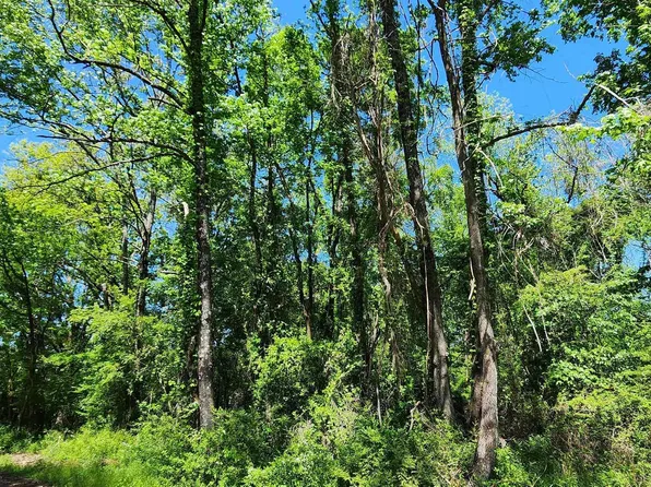 (undisclosed Address), Russellville, AR 72802