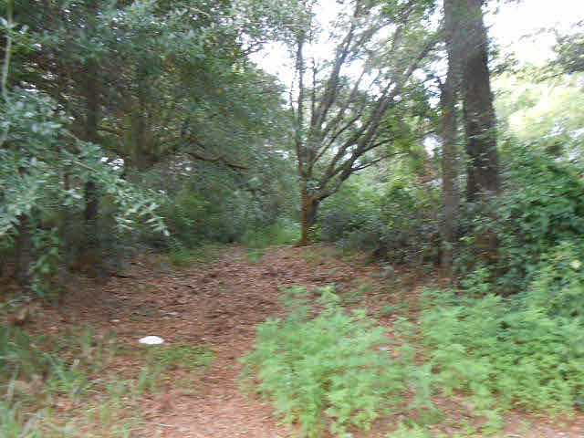 2nd image of 13757 County Road 64