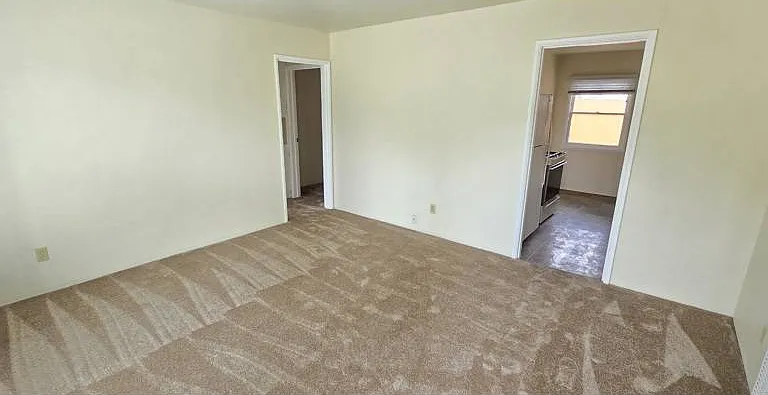 827 Diamond St — Photo 3