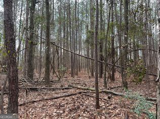 228 Pope Rd, Roberta, GA 31078