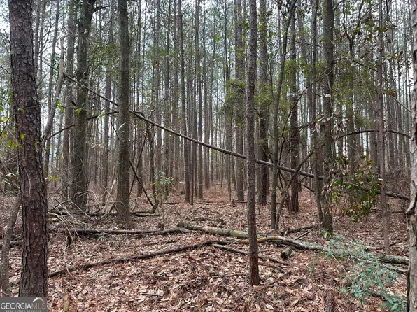 228 Pope Rd, Roberta, GA 31078