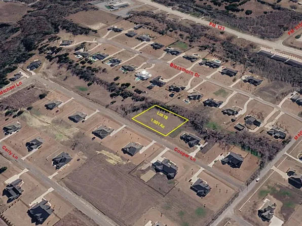 172 Cooper Ln, Van Alstyne, TX 75495