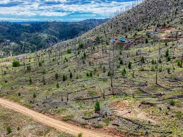 Tract 36 S State Highway 67, Woodland Park, CO 80863