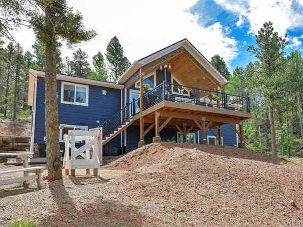 100 Wildcat Creek Drive, Florissant, CO 80816