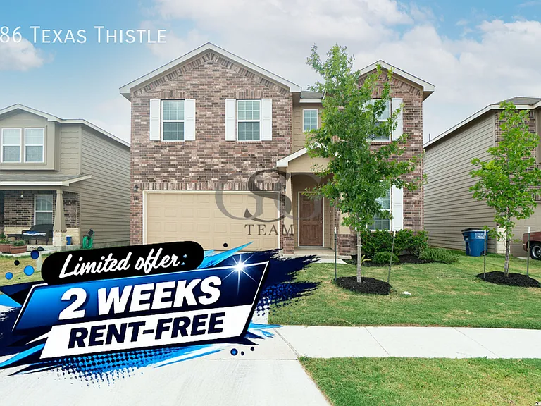 186 Texas Thistle — Photo 1