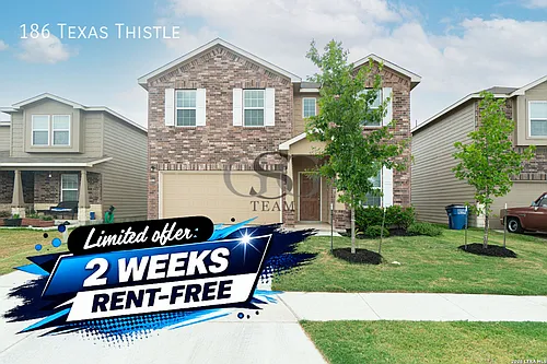 186 Texas Thistle Photo 1
