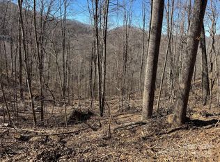 LOT 25 Andrew Banks Rd, Burnsville, NC 28714