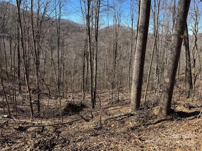 LOT 25 Andrew Banks Rd, Burnsville, NC, 28714