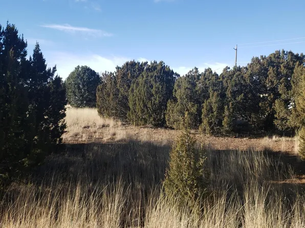 1798 Snyder Cir, Show Low, AZ 85901