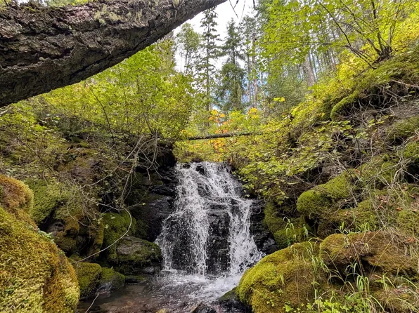 1250 Steel Mountain Rd, Columbia Falls, MT 59912