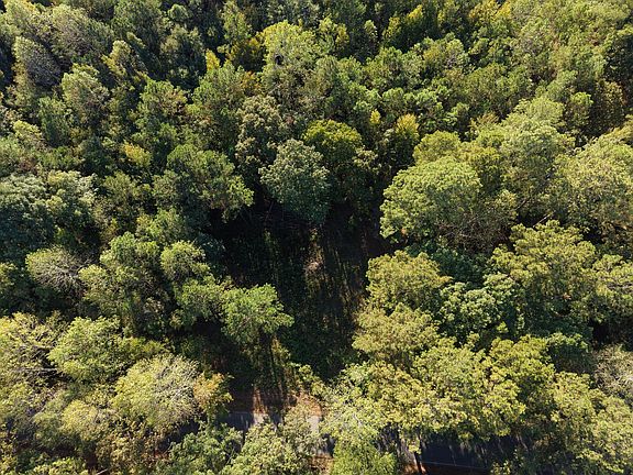 5th image of LOT 281 County Road 931