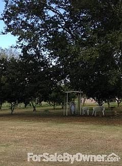 Citrus Orchard
						:
						Satsumas, Grapefruit, Fig, Louisiana Sweets, Navel Organges, Pecan Trees.