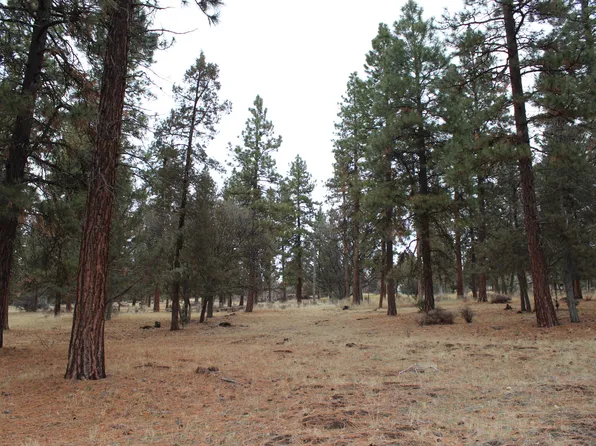68 Merganser Rd #68, Klamath Falls, OR 97601