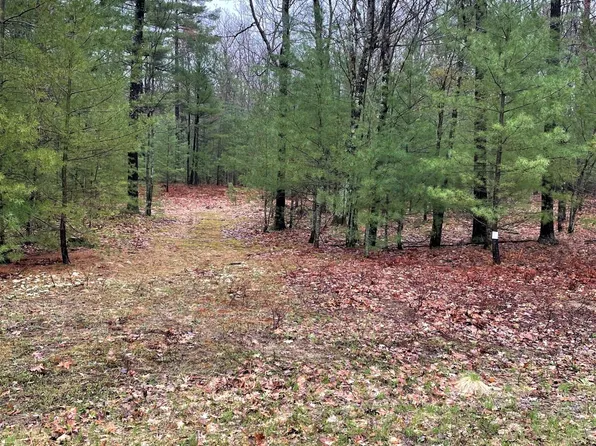 897 Wintree Dr, Indian River, MI 49749