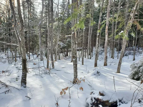 7 Balsam Rd, Vermontville, NY 12989