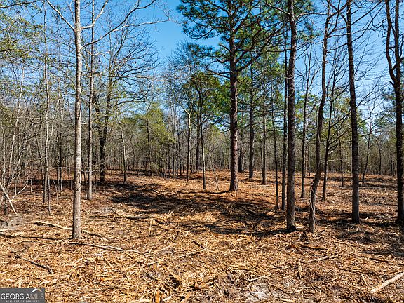 4th image of 10.5 Acres River Rd Lot 2