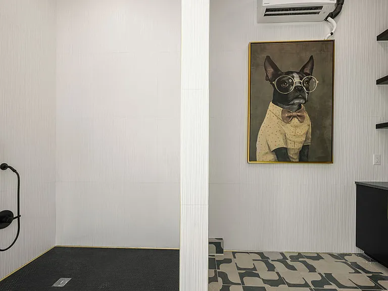 Pet Wash Area