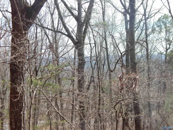 LOT 9 County Road 844, Mentone, AL 35984