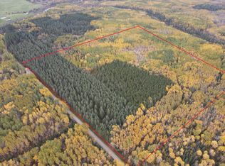 64636 County Road 235, Effie, MN 56639