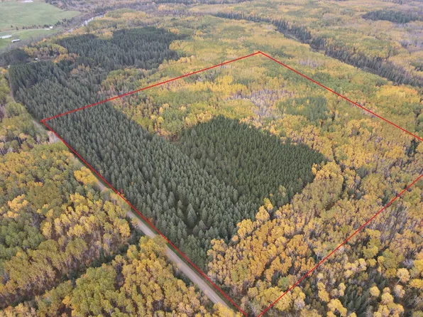 64636 County Road 235, Effie, MN 56639