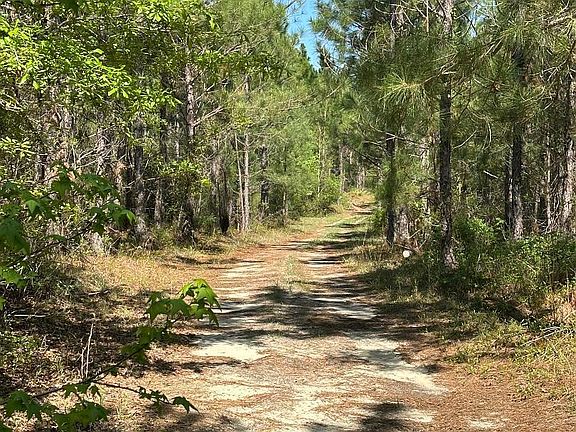 5th image of 0 Sardis Church Rd