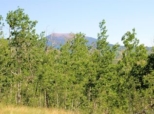 148 Palmer Peak Dr #90, Fairplay, CO 80440
