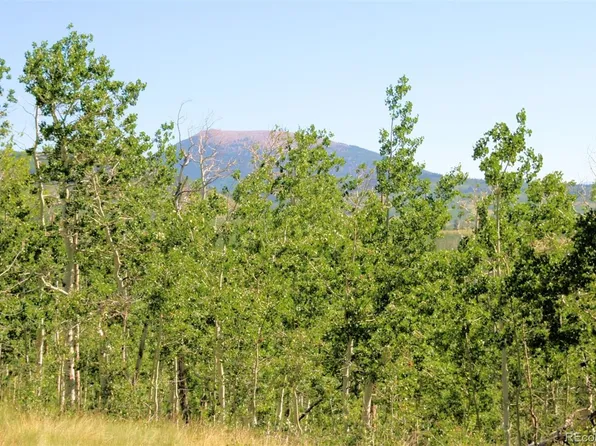 148 Palmer Peak Drive LOT 90, Fairplay, CO 80440