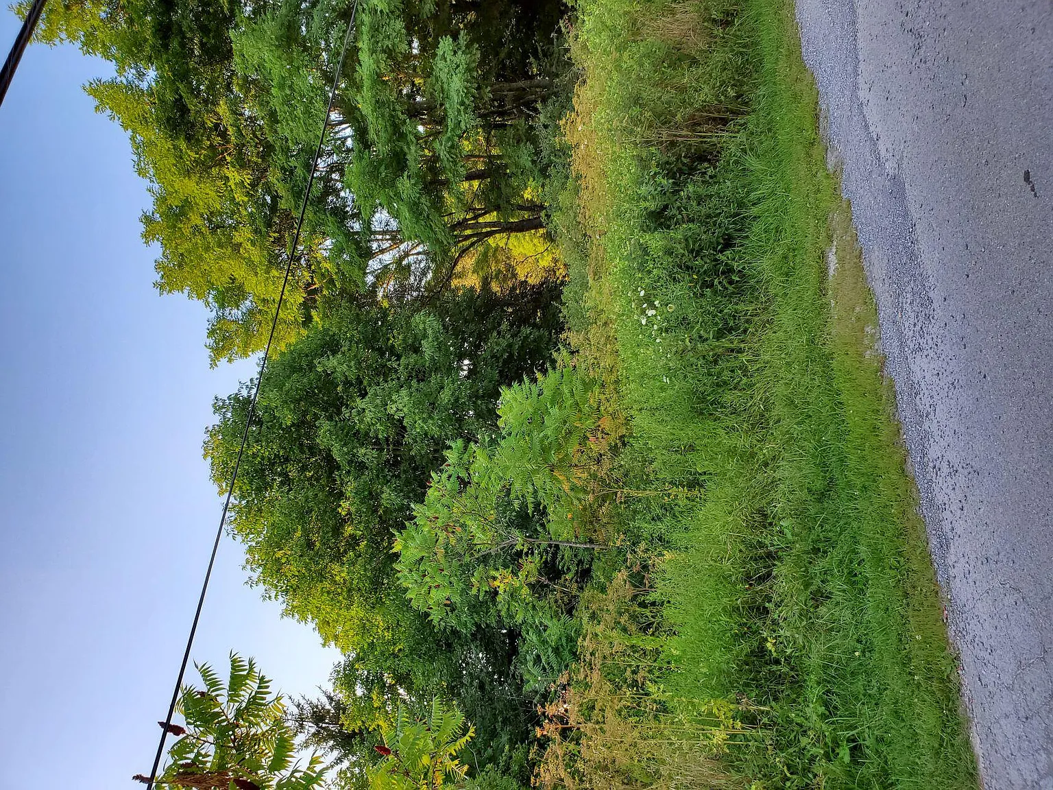 200 Hillridge Ln photo 1