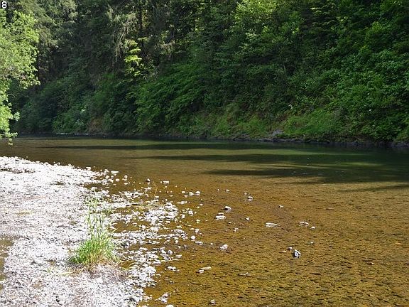 2nd image of Wilson River Hwy