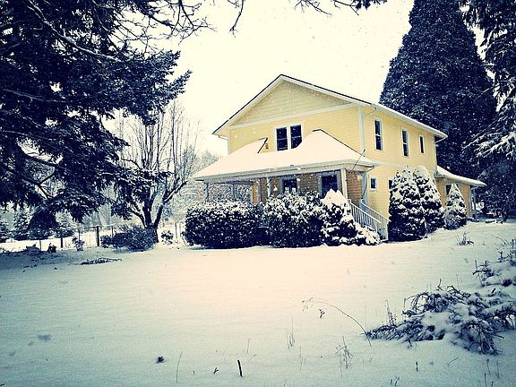 snowy winter