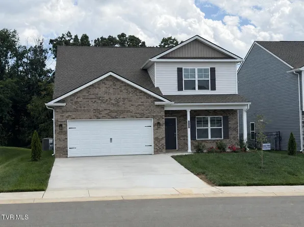 237 Chimney View Loop, Blountville, TN 37617