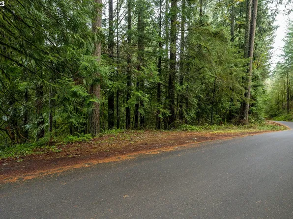 NW Elk Mountain Rd, Banks, OR 97106