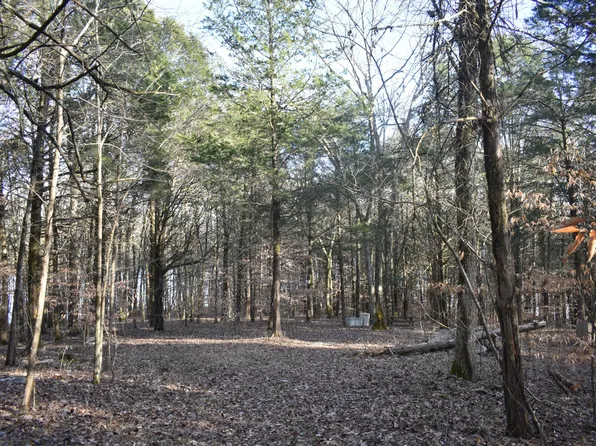 0 E Brooks Bend Ln, Gainesboro, TN 38562