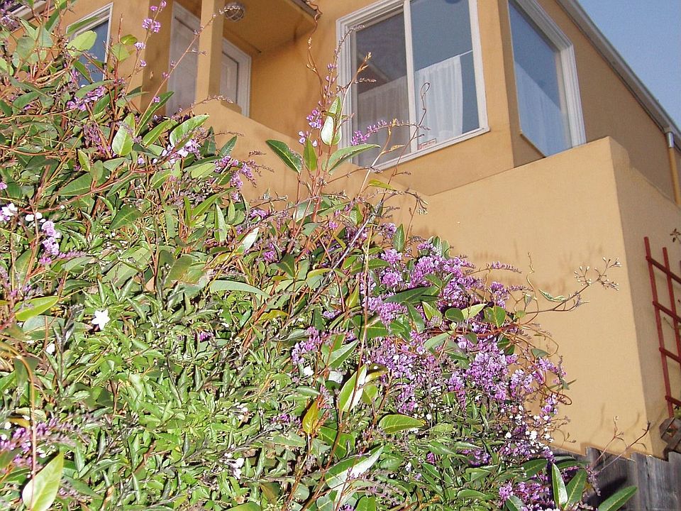 view side garden