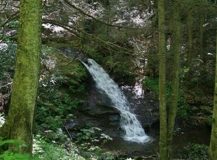 111 Stoney Fork Rd, Barnardsville, NC 28709