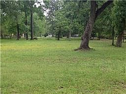 5th image of 17419 Bamwood Dr
