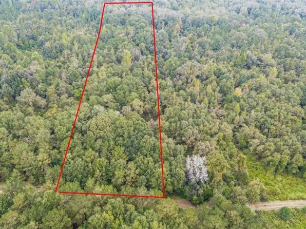 0 Willow Creek Dr, Oglethorpe, GA 31068
