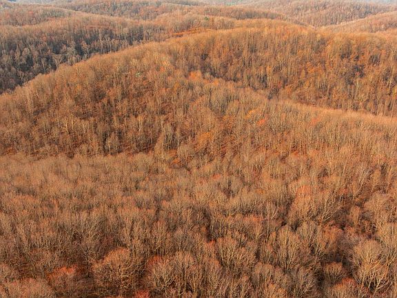 5th image of 0 Gibson Hollow Rd